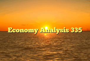 Economy Analysis 335