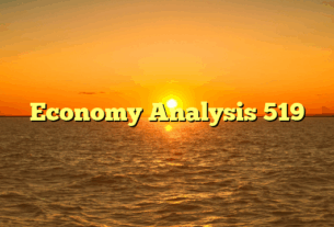 Economy Analysis 519